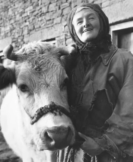 Too Long A Winter : The Hannah Hauxwell Story – featured image